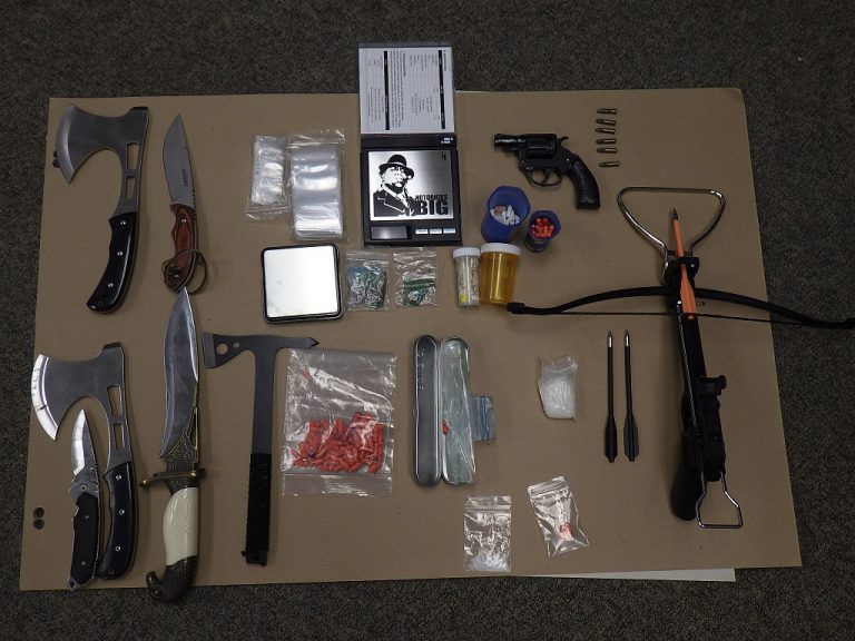 Drugs, weapons charges laid after bust in Stratford