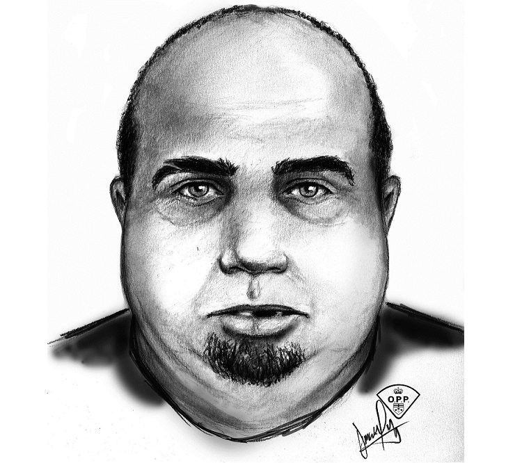 Drawing of suspicious man who approached girl in Milverton released