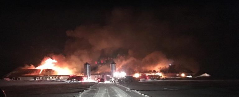 UPDATED: Live Stock Lost in Large Perth South Barn Fire