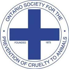 Perth County farmer fined over $2 thousand in relation to animal cruelty charges