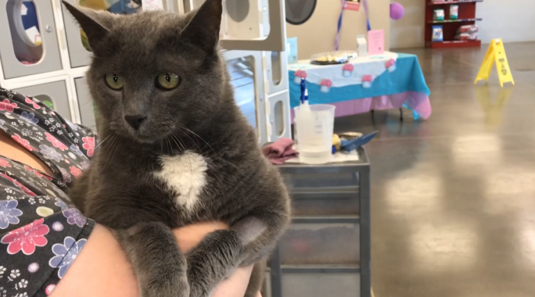 Pet of the Week – Clyde