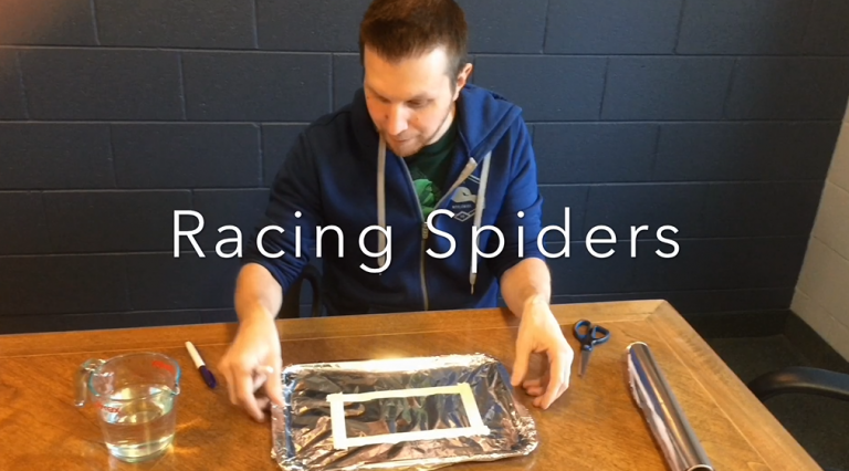 March Break Boredom Busters – Racing Spiders