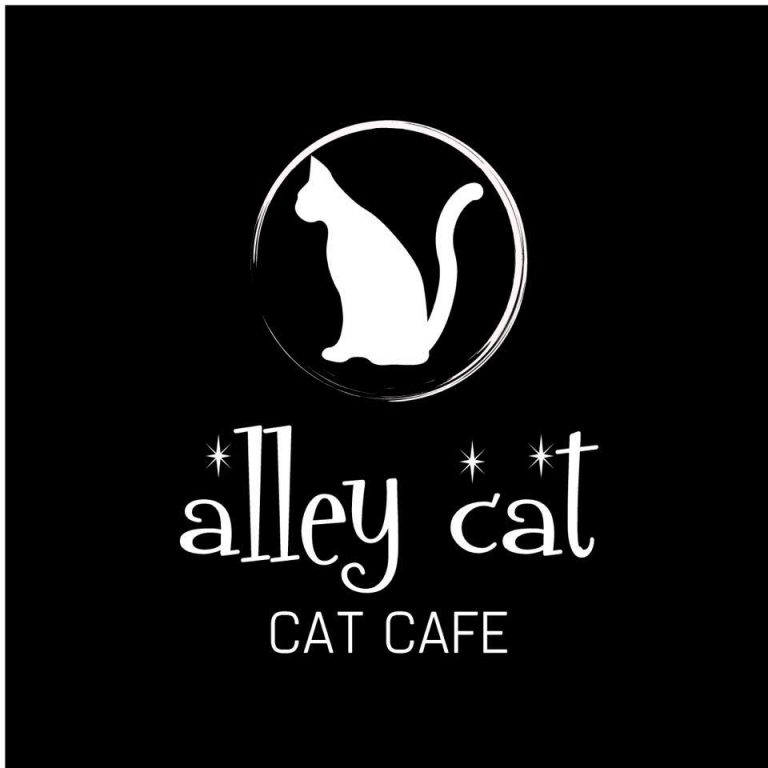Stratford’s first cat cafe to open for business this weekend