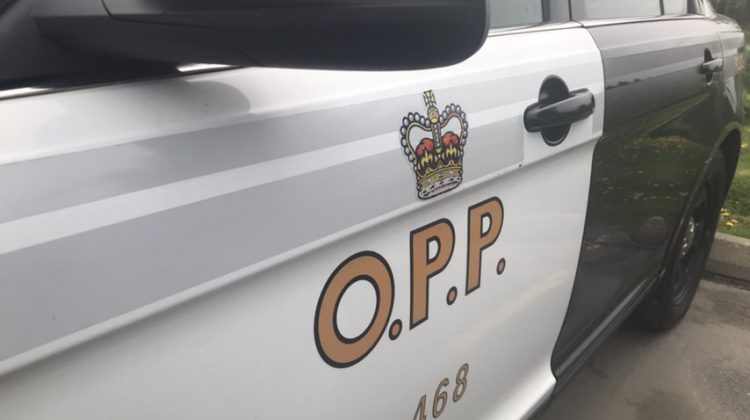Perth OPP asking for public’s help in solving pedestrian collision