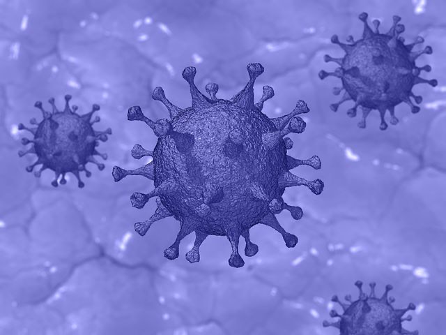Ontario reports 340 new coronavirus cases, 23 new deaths related to virus