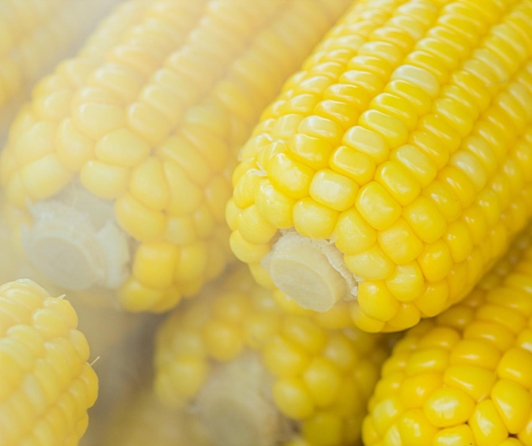 PC Cooking School: Cooler Corn