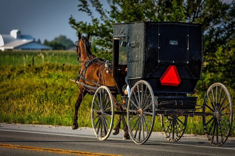 Teen dead in crash involving horse and buggy and passenger vehicle near Listowel