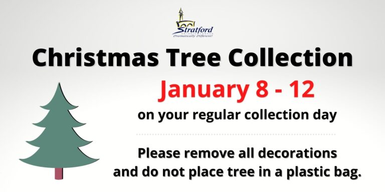 Christmas trees to be picked up in Stratford next week