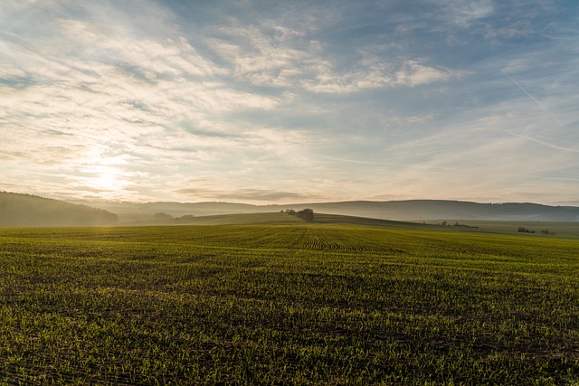 New study finds demand remains for farmland in Southwestern Ontario