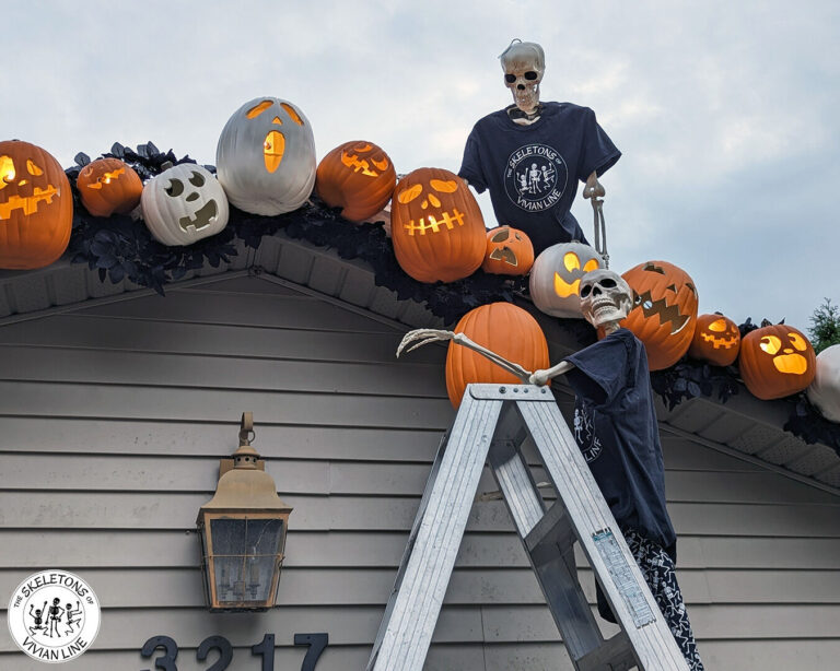 The ‘bony mischief-makers’ are back on Vivian Line