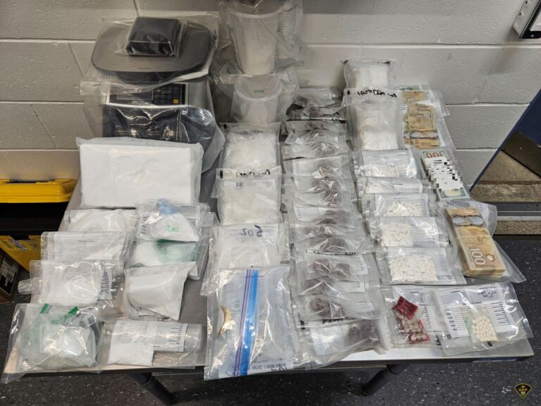 Perth/Huron community street crime unit helps take $281K in drugs off the streets
