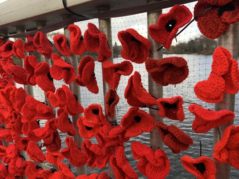 Stratford Poppy Project looking for volunteers