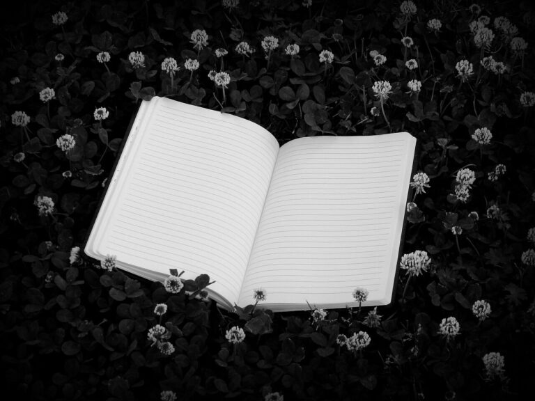 Poetry Stratford Live continues on Thursday