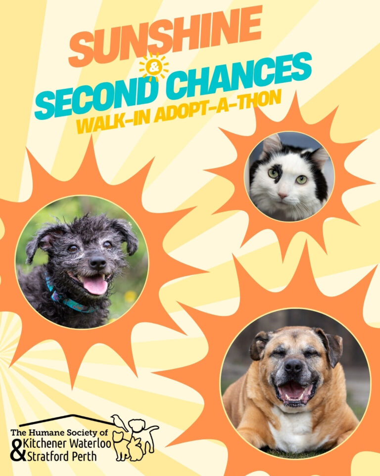 Sunshine & Second Chances Adopt-a-thon Sunshine & Second Chances Adopt-a-thon