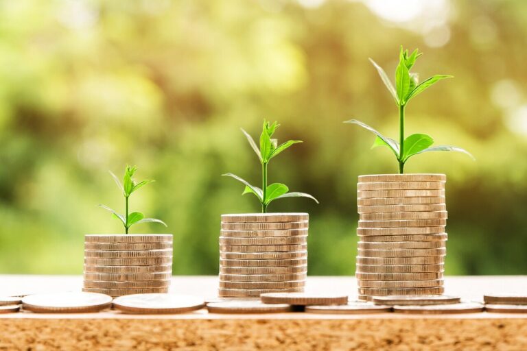 The Local Community Food Centre helps with financial literacy, too