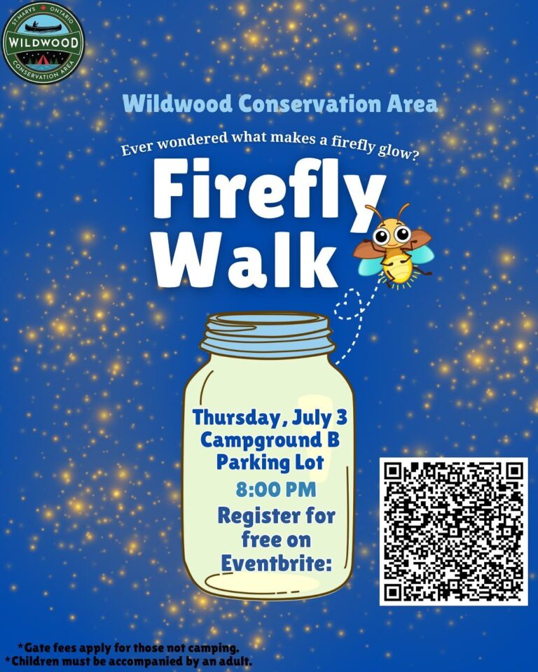 Firefly Walk at Wildwood