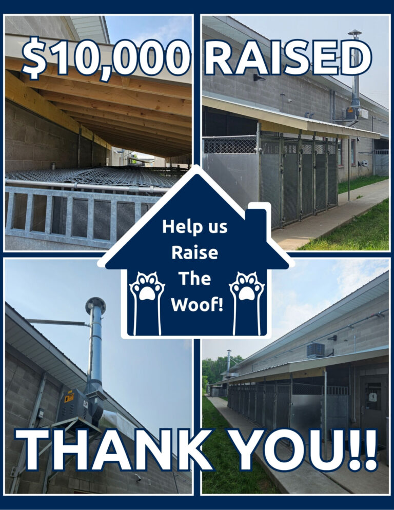 Cree Toner with Stratford Perth Humane Society