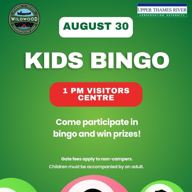 Kids Bingo – Wildwood Conservation Area