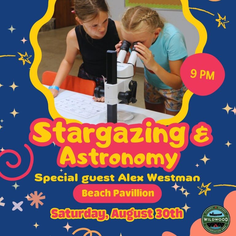 Stargazing & Astronomy – Wildwood Conservation Area Stargazing & Astronomy – Wildwood Conservation Area