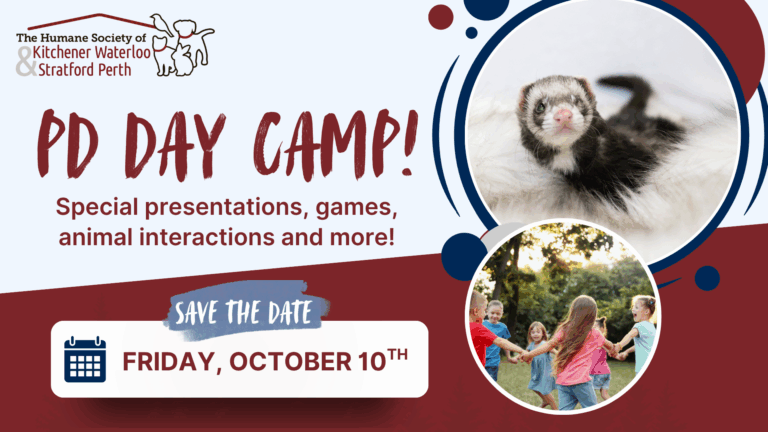 PD Camp at The Stratford Perth Humane Society PD Camp at The Stratford Perth Humane Society